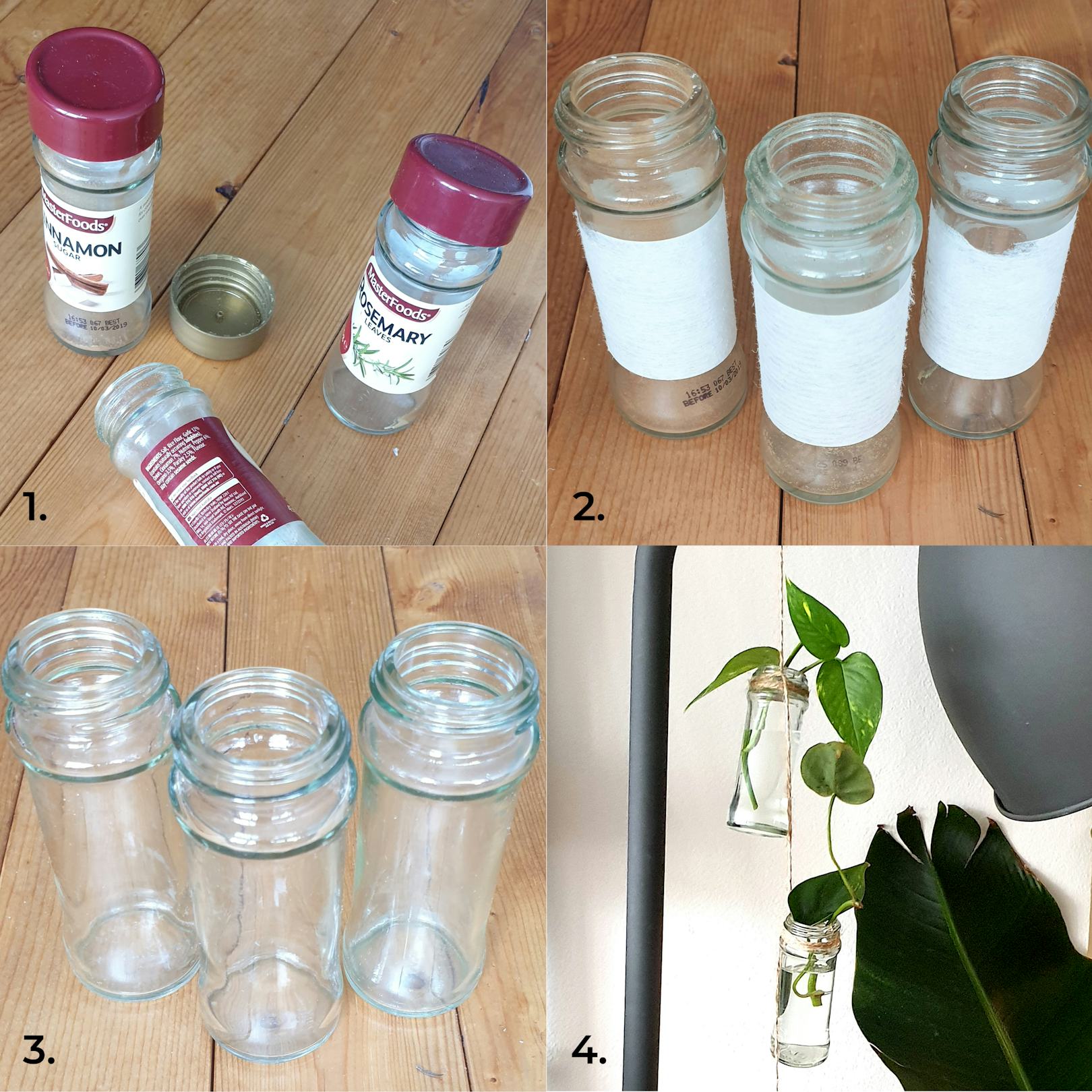 Upcycled spice jars into propagation station