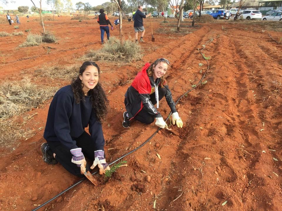 Outback Goldfields Greening the Outback Goldfields: Over 50 years of community-led change