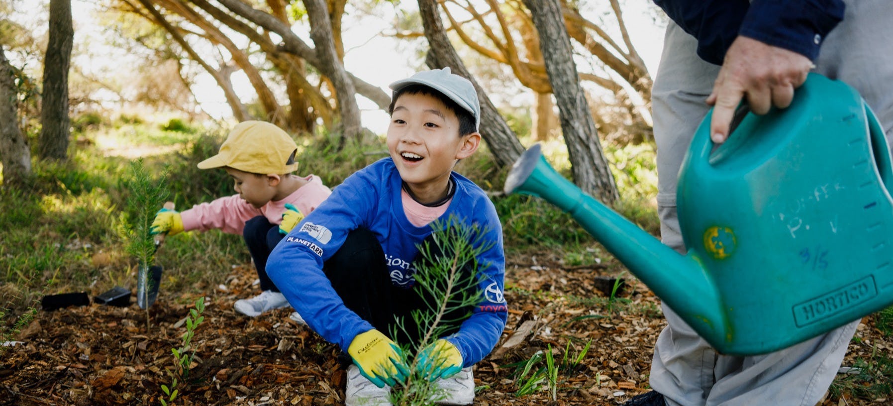 Teachers taking action to combat eco-anxiety