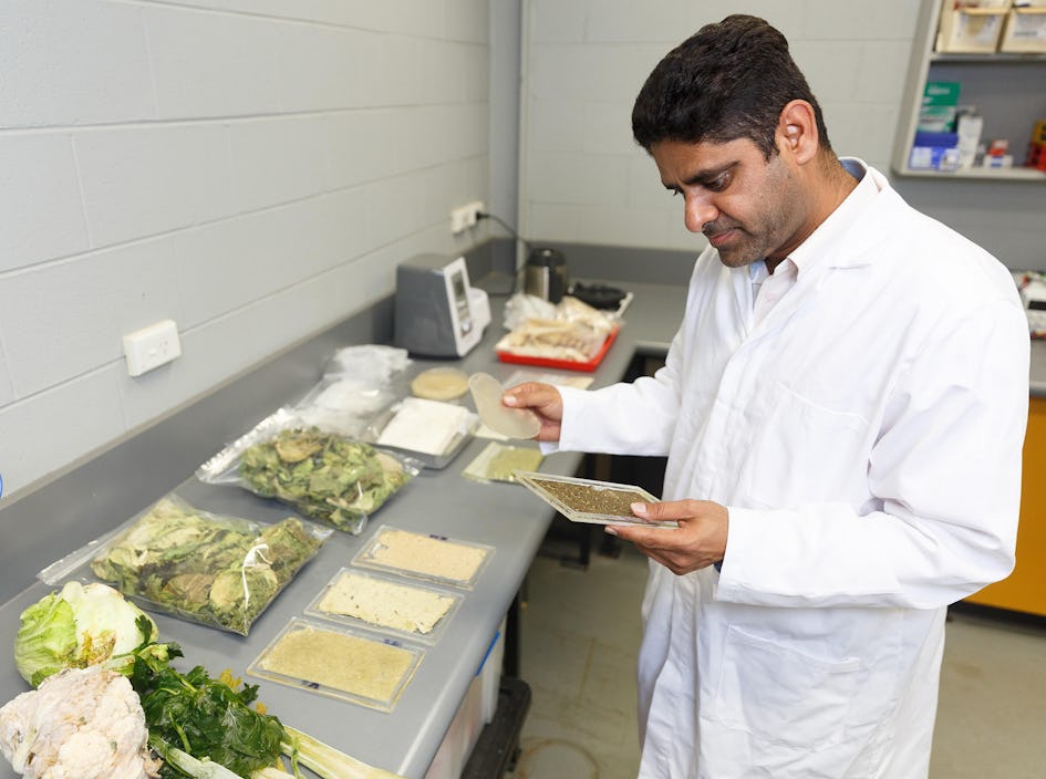 Researchers with examples of sustainable food packaging made from vegetables