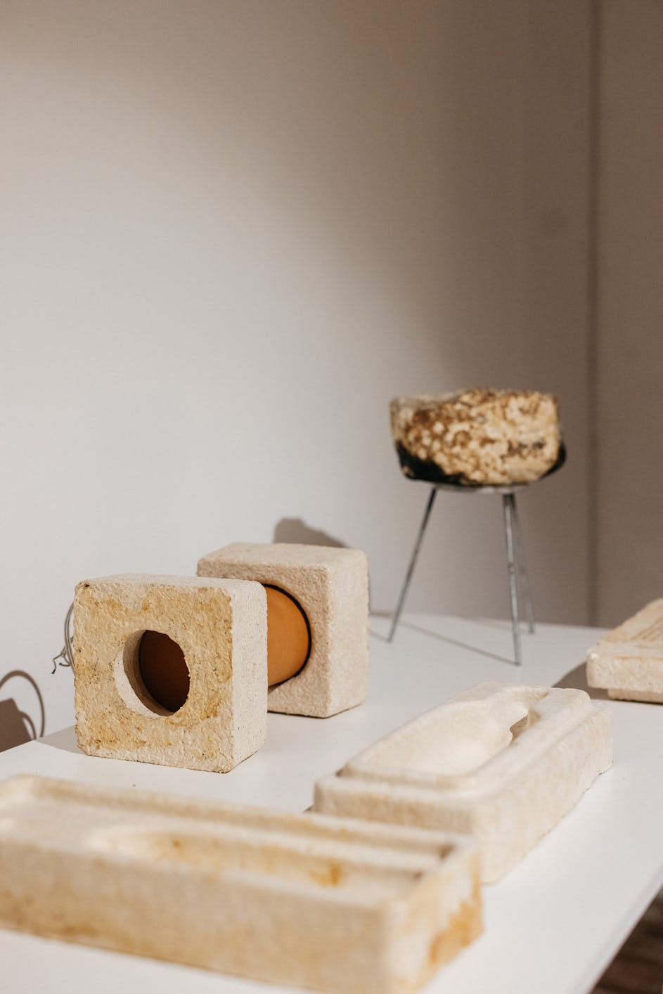 Products made of mycelium. Image source: Marie-Luise Skibbe