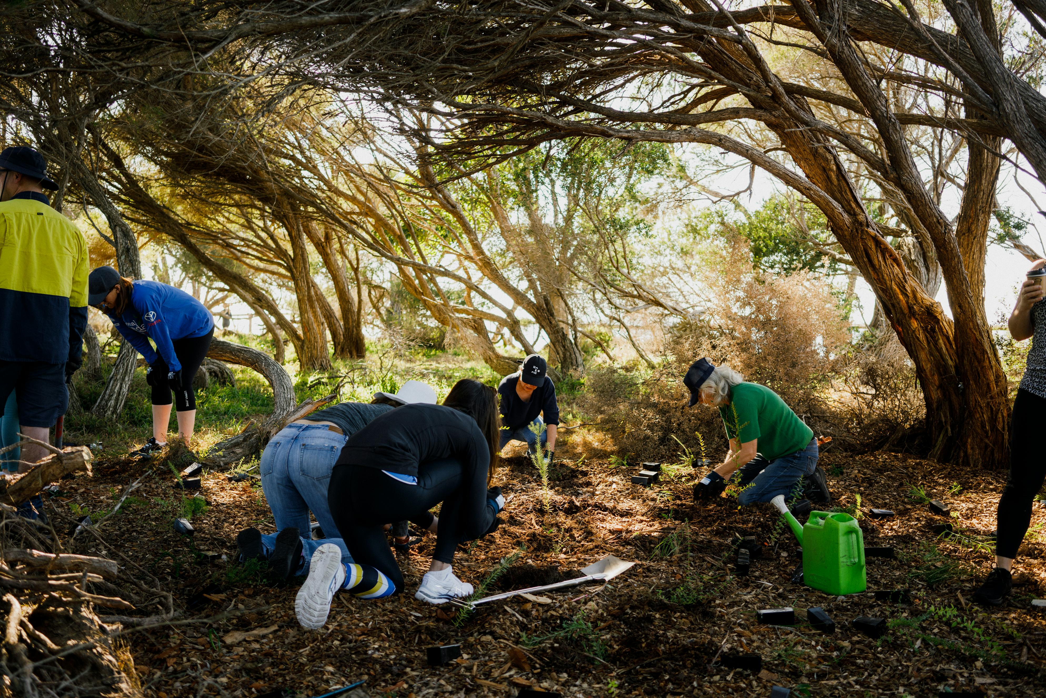 National Tree Day is an excellent opportunity to get the whole family out in nature and getting their hands dirty for nature.