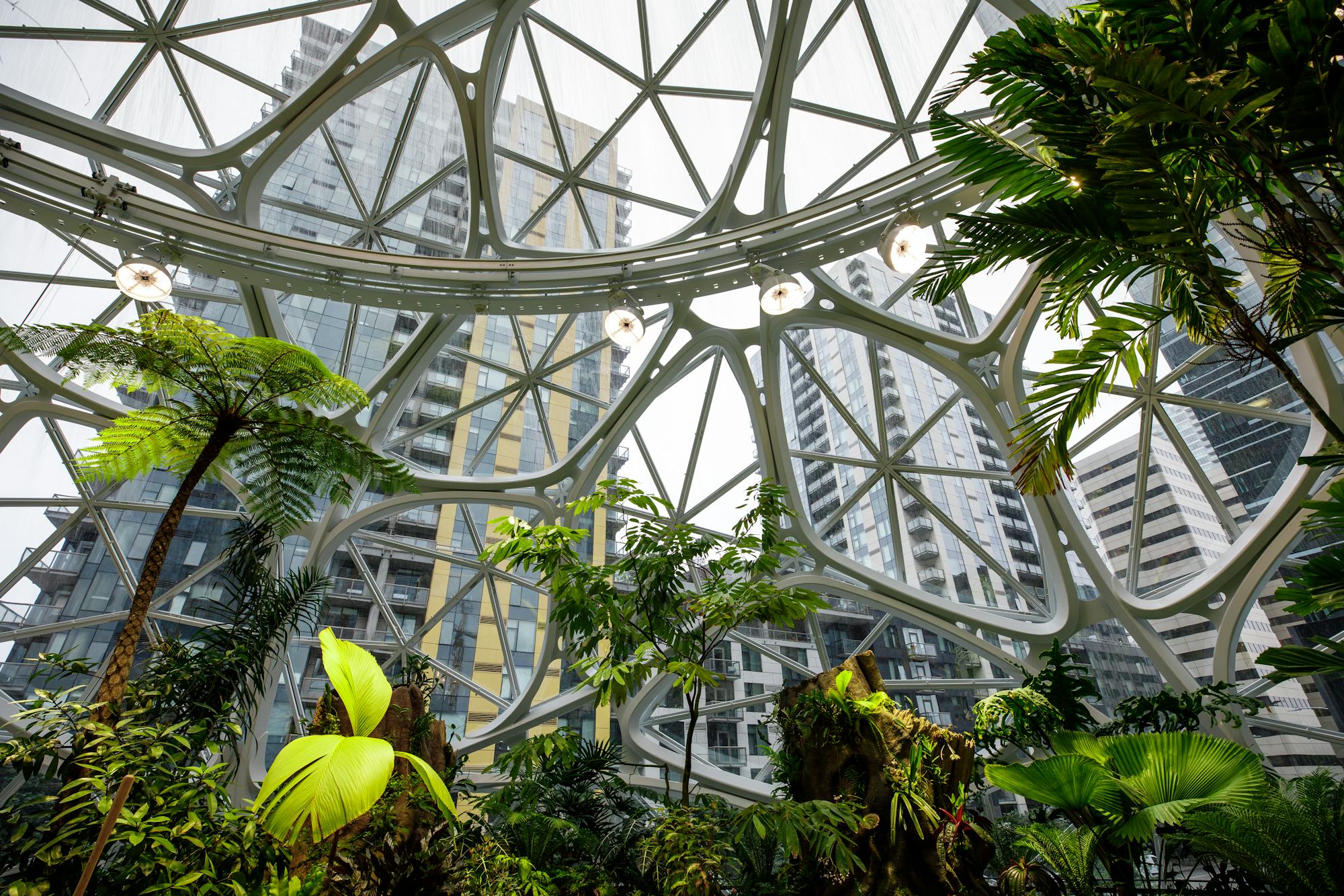 amazing buildings that use nature-connected design - Make it Wood News
