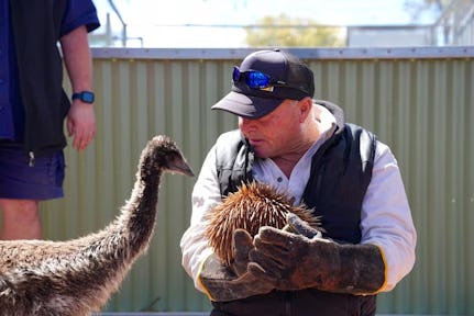Kevin made friends with a rescued emu named Chicky. Image supplied by RRANA.
