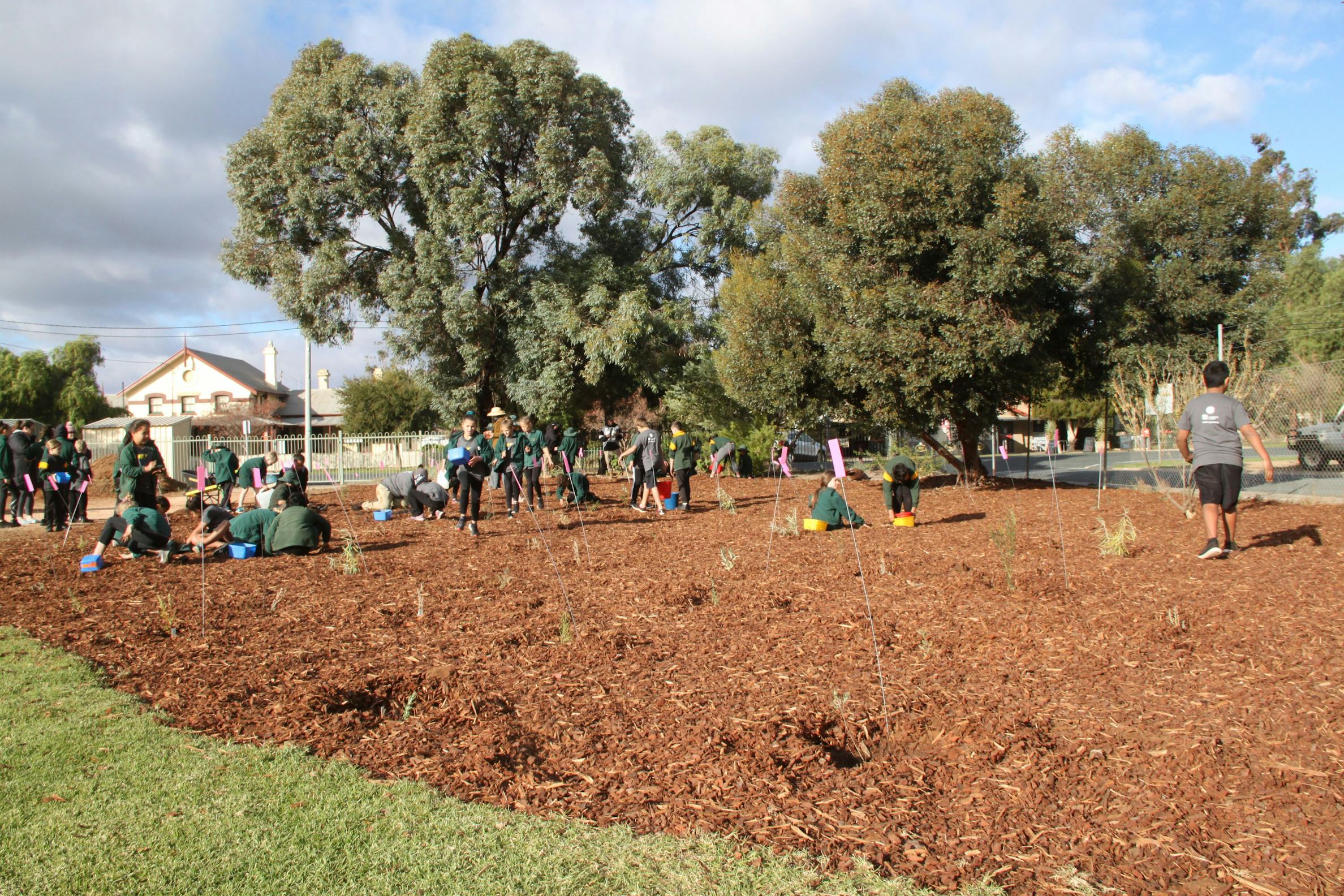 Euston Public School students planting 2019