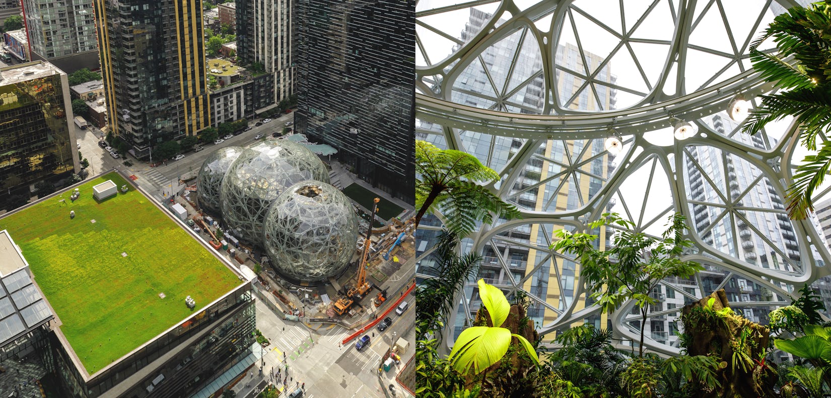 amazing buildings that use nature-connected design - Make it Wood News