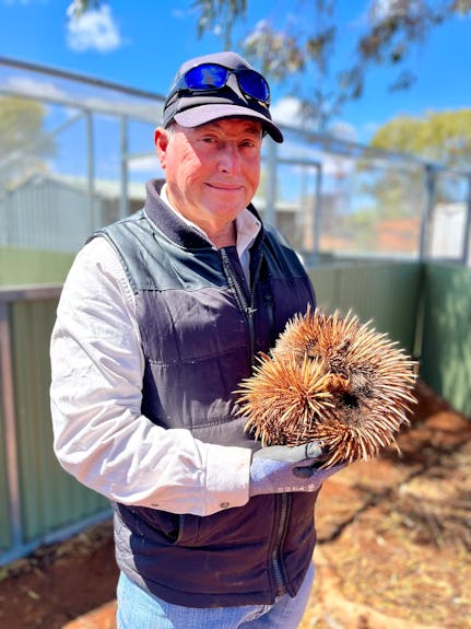 Kevin the echidna says one last goodbye to his rescuer, Kevin.