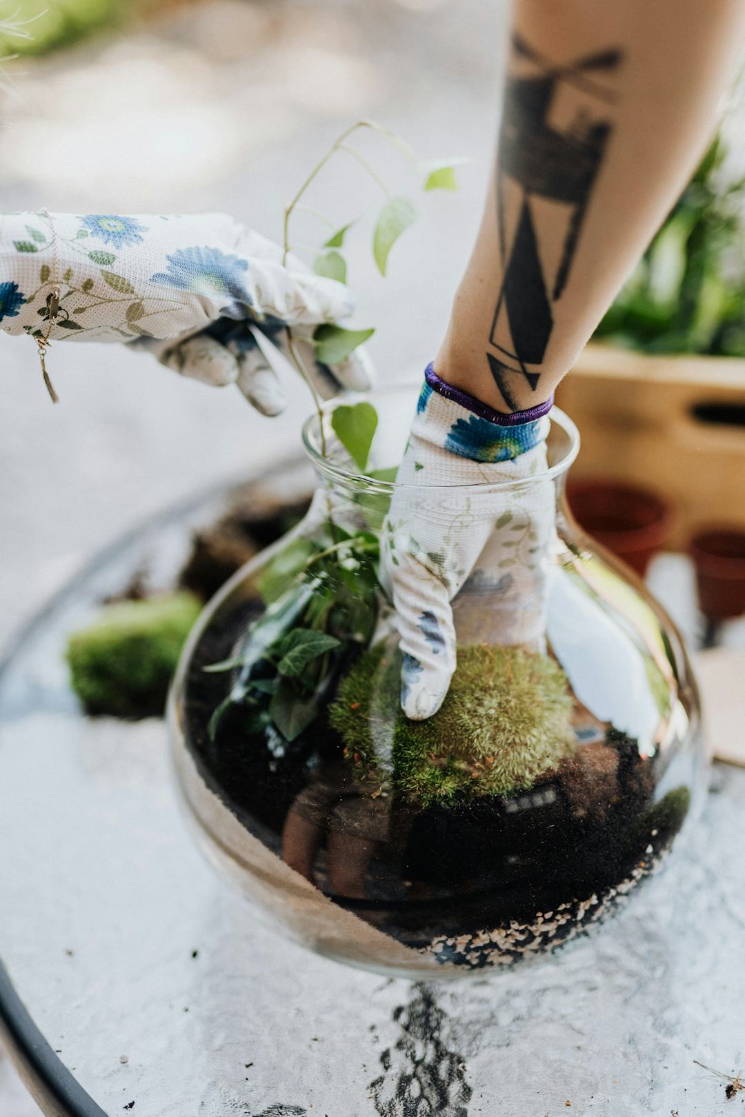 Adding moss to a terrarium (Image source: Pexels Karolina Grabowska)