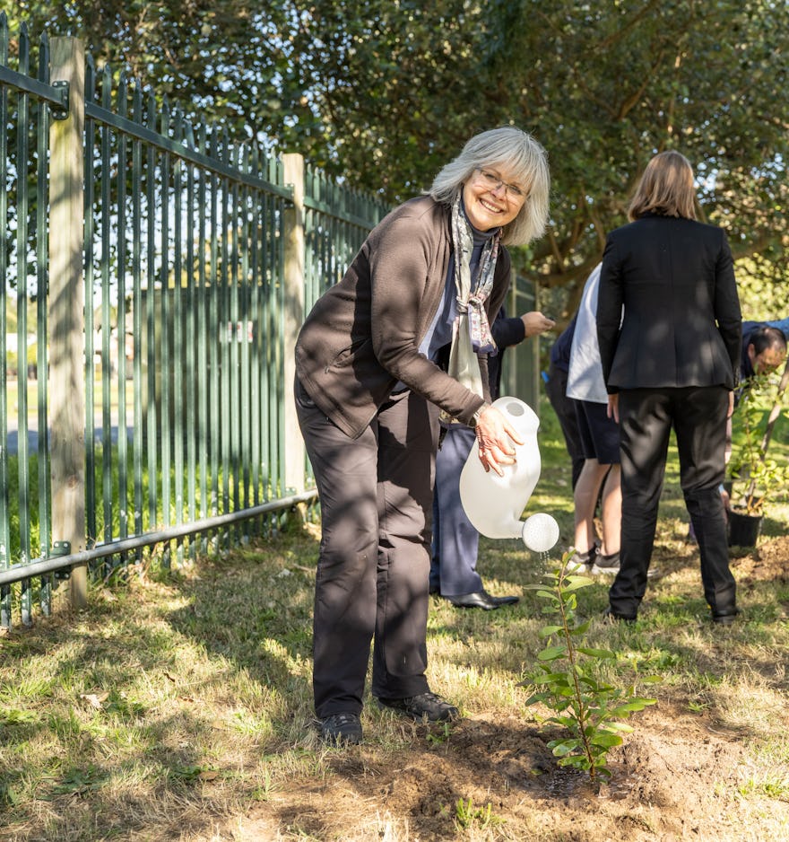 Rebecca waters a freshly planted native at a Schools Tree Day event.
