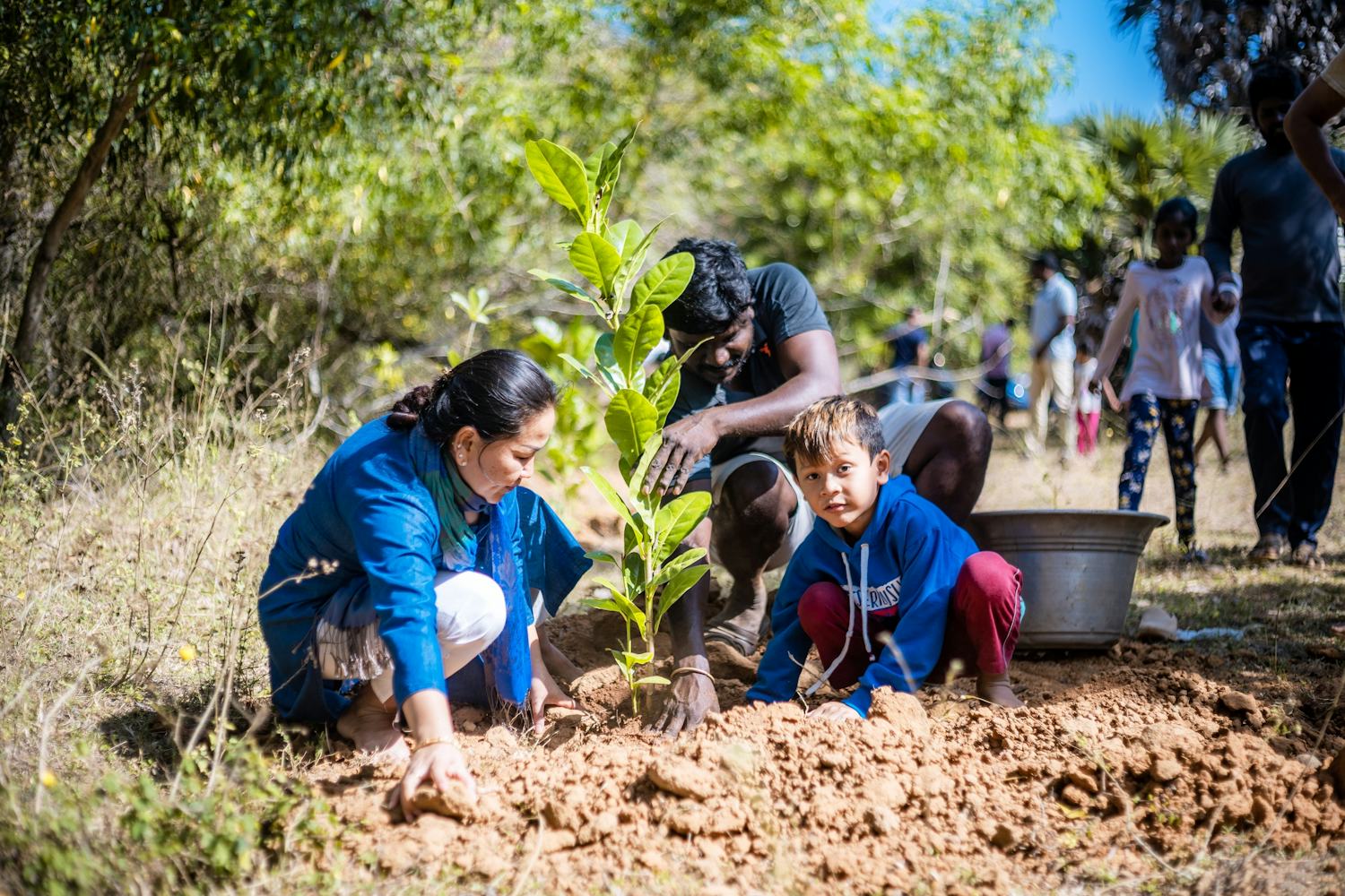 An Indian family plant a tree together as part of ongoing greening efforts.