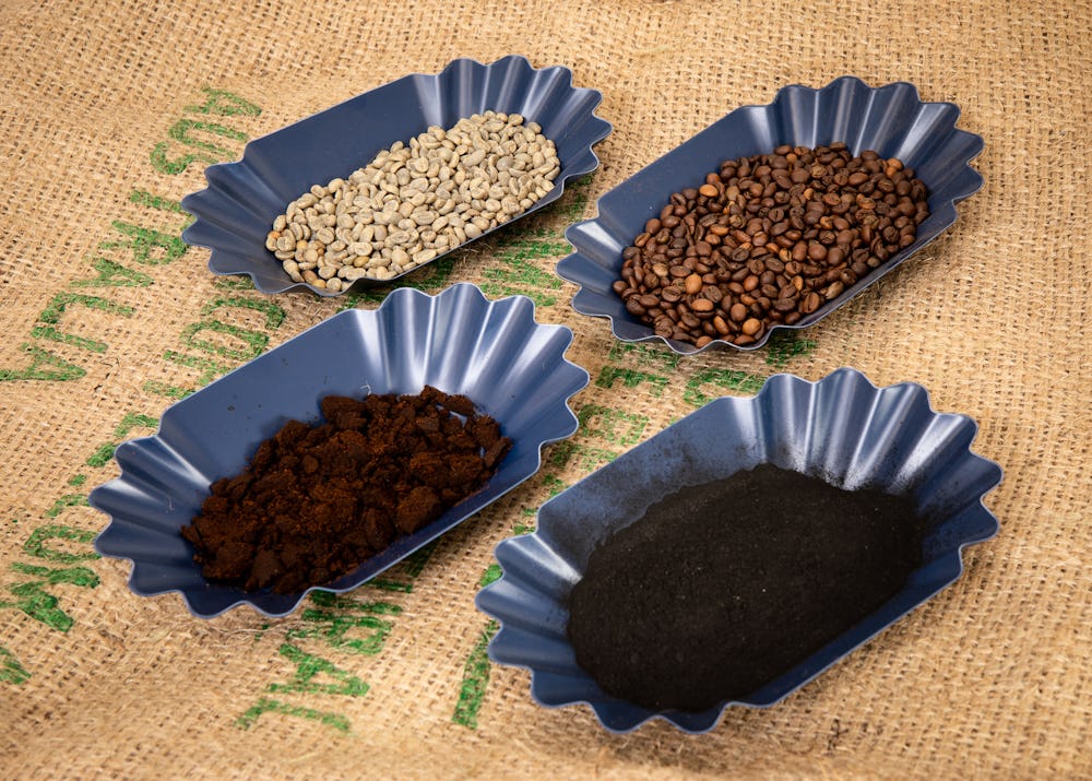 Samples of unroasted coffee beans, roasted coffee beans, spent ground coffee and the team’s coffee biochar. Image Source: RMIT University 